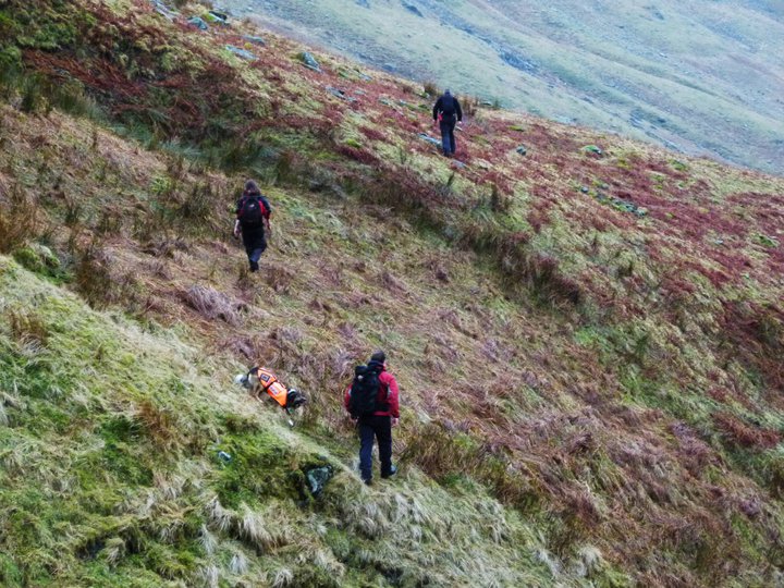 12.03.2011 Team members searching