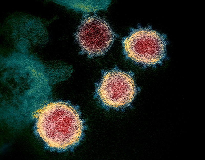 Cornoa Virus